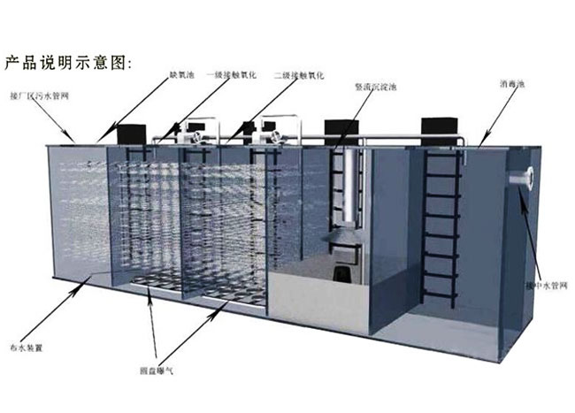 生活污水黑醋栗設備結構圖